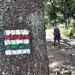 Appartamento Pod Wyciagiem - Czarna Gora & Sienna (Klodzko)