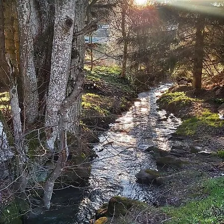 Apartmán Pod Wyciagiem - Czarna Gora & Sienna (Klodzko)