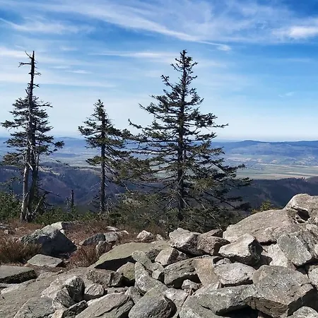 Pod Wyciagiem - Czarna Gora & Lägenhet Sienna (Klodzko)