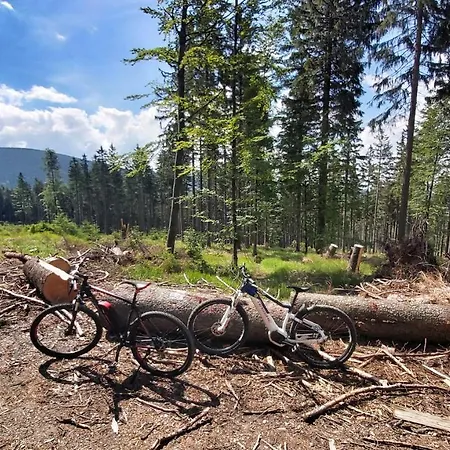 Pod Wyciagiem - Czarna Gora & Appartamento Sienna (Klodzko)