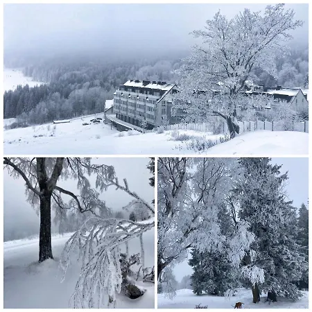 Pod Wyciagiem - Czarna Gora &