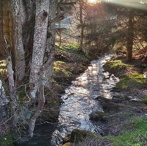 Apartmán Pod Wyciagiem - Czarna Gora & Sienna (Klodzko)