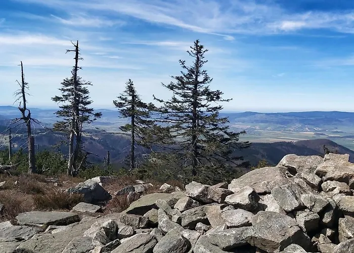 Pod Wyciagiem - Czarna Gora & Apartmán Sienna (Klodzko)