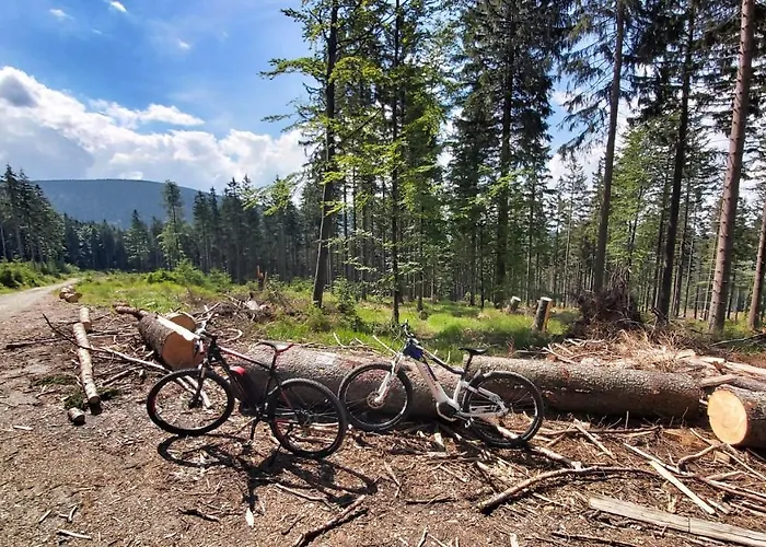 Pod Wyciagiem - Czarna Gora & Apartment Heudorf
