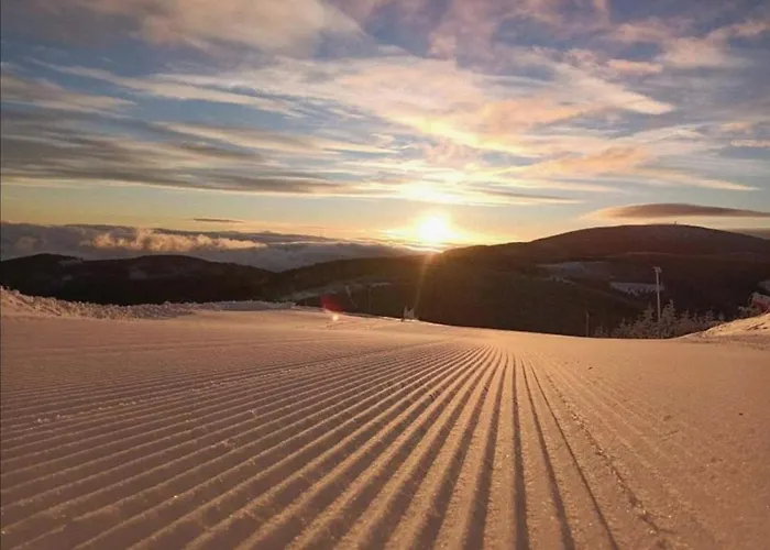 Pod Wyciagiem - Czarna Gora & Apartment *