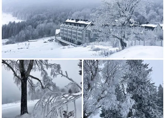 Pod Wyciagiem - Czarna Gora &